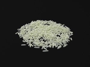 seeds 3D Model