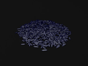seeds 3D Model