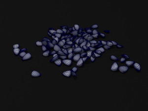 seeds 3D Model