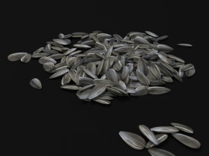 seeds 3D Model