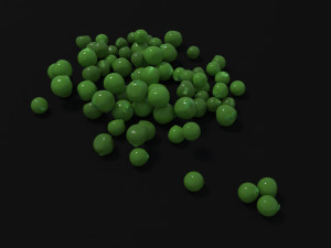 seeds 3D Model
