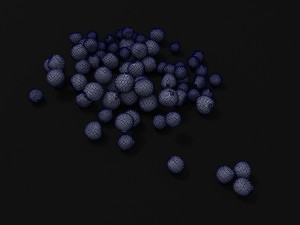 seeds 3D Model