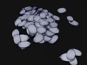 seeds 3D Model