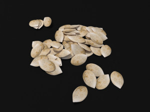 seeds 3D Model