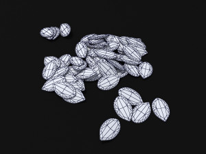 seeds 3D Model