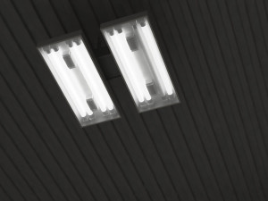 warehouse 3D Model