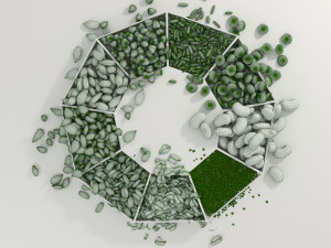 cereals 3D 模型