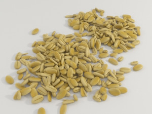cereals 3D 模型