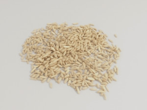 cereals 3D 模型