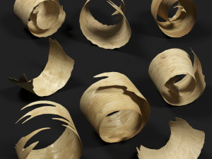sawdust Model 3D