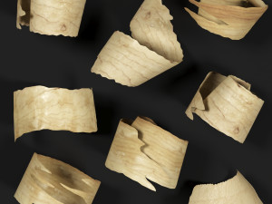 sawdust Model 3D