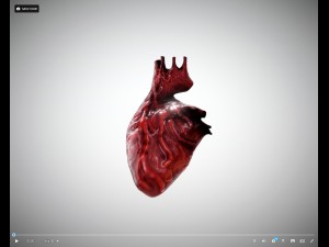 heart animated free on sketchfab Modelo 3D