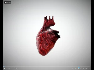 cora&ccedil;&atilde;o animado gr&aacute;tis no sketchfab Modelo 3D