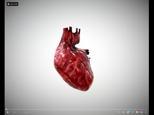 heart animated free on sketchfab Modelo 3D