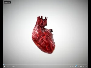 cora&ccedil;&atilde;o animado gr&aacute;tis no sketchfab Modelo 3D