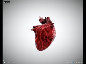 heart animated free on sketchfab Modelo 3D