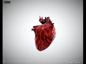 cora&ccedil;&atilde;o animado gr&aacute;tis no sketchfab Modelo 3D
