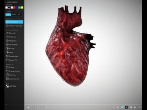 heart animated free on sketchfab Modelo 3D