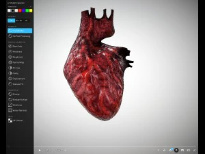 cora&ccedil;&atilde;o animado gr&aacute;tis no sketchfab Modelo 3D
