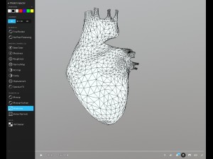 heart animated free on sketchfab Modelo 3D