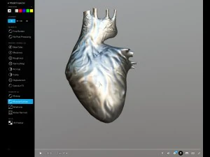 cora&ccedil;&atilde;o animado gr&aacute;tis no sketchfab Modelo 3D