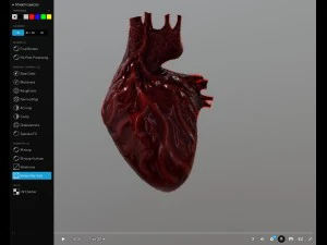 cora&ccedil;&atilde;o animado gr&aacute;tis no sketchfab Modelo 3D