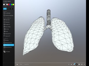 animated lung free on sketchfab 3Dモデル