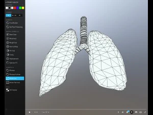 pulm&atilde;o animado gr&aacute;tis no sketchfab Modelo 3D