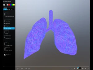 pulm&atilde;o animado gr&aacute;tis no sketchfab Modelo 3D