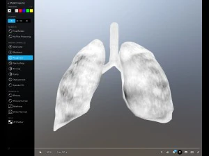 pulm&atilde;o animado gr&aacute;tis no sketchfab Modelo 3D