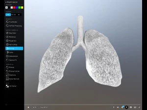 pulm&atilde;o animado gr&aacute;tis no sketchfab Modelo 3D