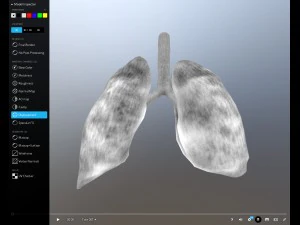 pulm&atilde;o animado gr&aacute;tis no sketchfab Modelo 3D