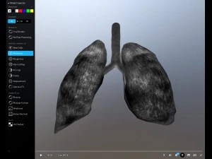 pulm&atilde;o animado gr&aacute;tis no sketchfab Modelo 3D