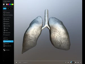 pulm&atilde;o animado gr&aacute;tis no sketchfab Modelo 3D