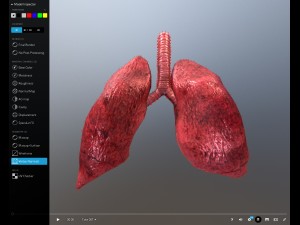 animated lung free on sketchfab 3Dモデル