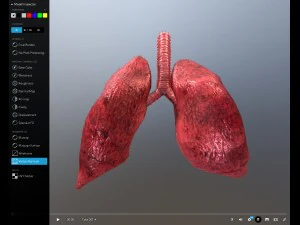 pulm&atilde;o animado gr&aacute;tis no sketchfab Modelo 3D