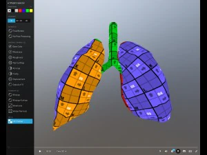pulm&atilde;o animado gr&aacute;tis no sketchfab Modelo 3D