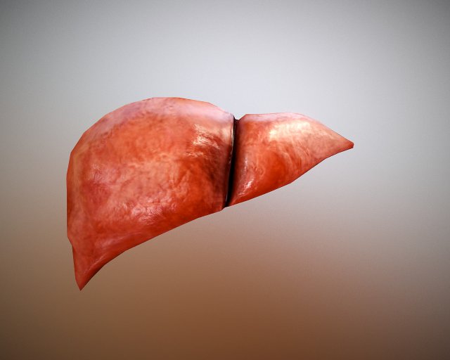 liver free on sketchfab Model 3D .c4d .max .obj .3ds .fbx .stl .blend 