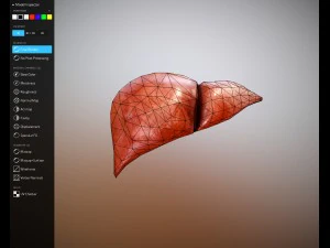 f&iacute;gado gr&aacute;tis no sketchfab Modelo 3D