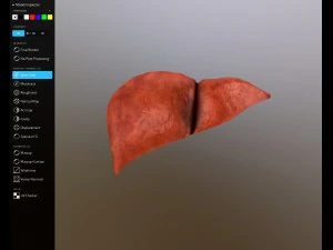 f&iacute;gado gr&aacute;tis no sketchfab Modelo 3D