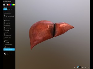 liver free on sketchfab Model 3D