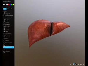 f&iacute;gado gr&aacute;tis no sketchfab Modelo 3D