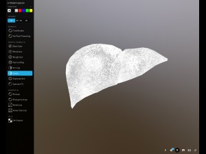 liver free on sketchfab Model 3D
