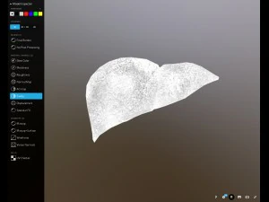 f&iacute;gado gr&aacute;tis no sketchfab Modelo 3D