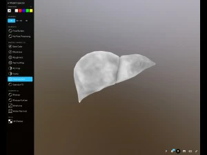f&iacute;gado gr&aacute;tis no sketchfab Modelo 3D