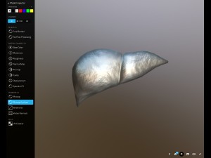 liver free on sketchfab Model 3D