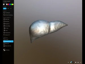 f&iacute;gado gr&aacute;tis no sketchfab Modelo 3D