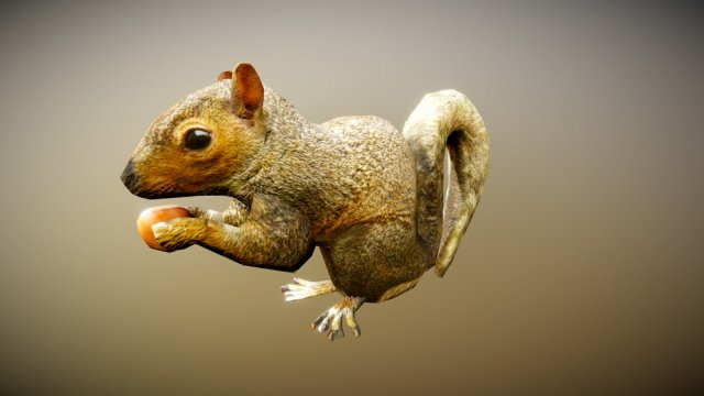 animated squirrel free on sketchfab 3D 모델 .c4d .max .obj .3ds .fbx .stl .blend 