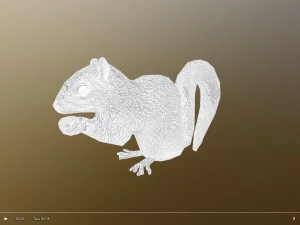 animated squirrel free on sketchfab 3D Model