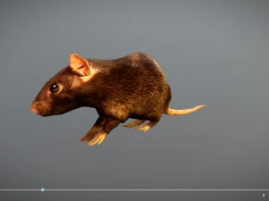 animated rat free on sketchfab 3D Model